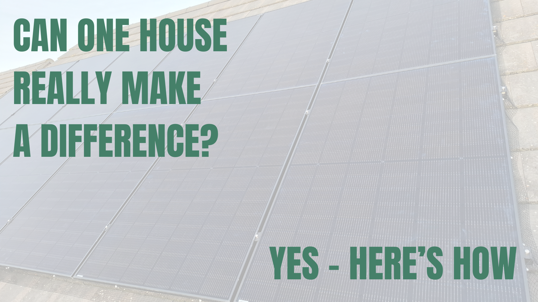 Can One House Really Make a Difference? (Yes – Here’s How)