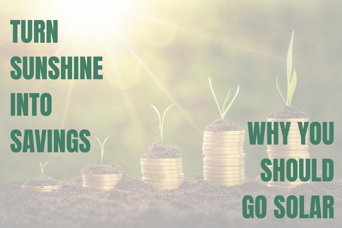 Sunlight growing coins with blog title