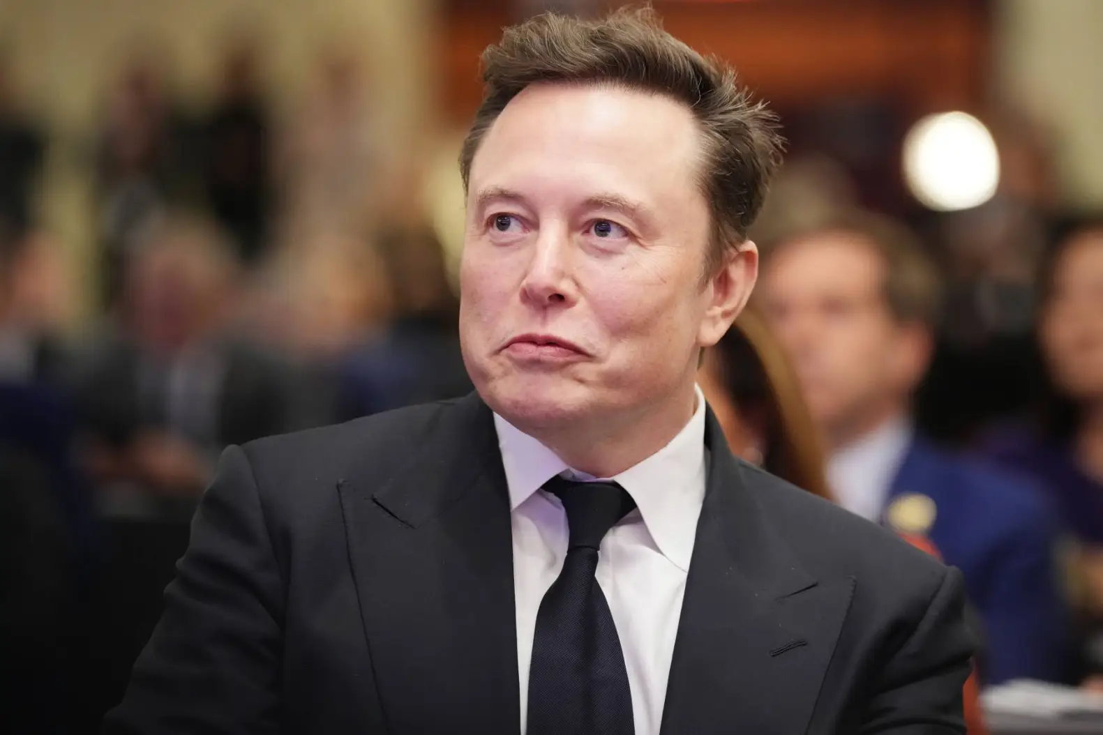 Tesla owner Elon Musk
