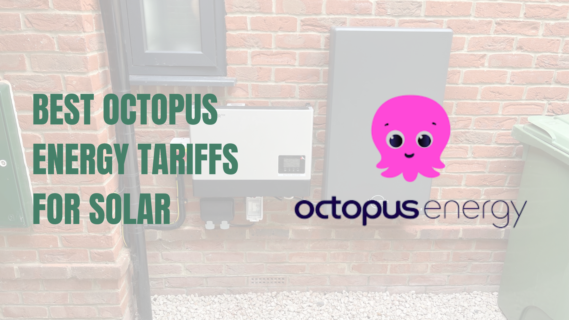 Best Octopus Energy Tariffs for Solar Panels and Batteries