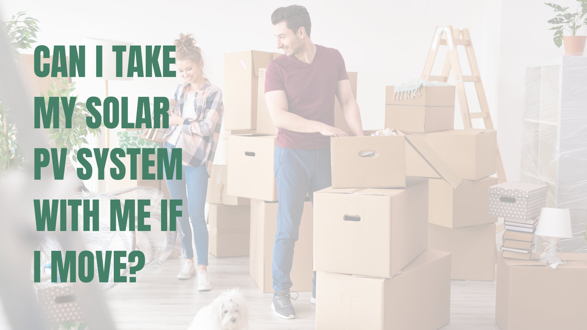 Moving boxes with blog title