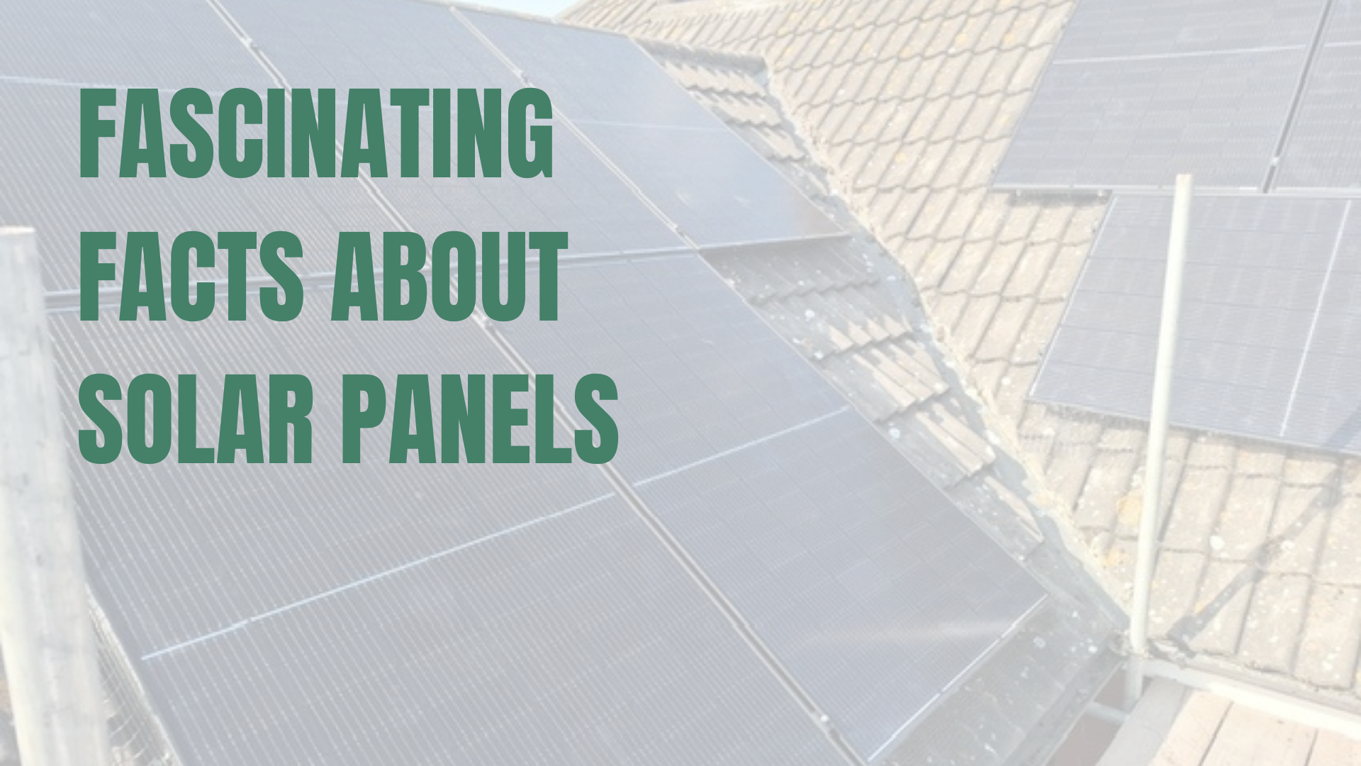 Fascinating Facts About Solar Panels