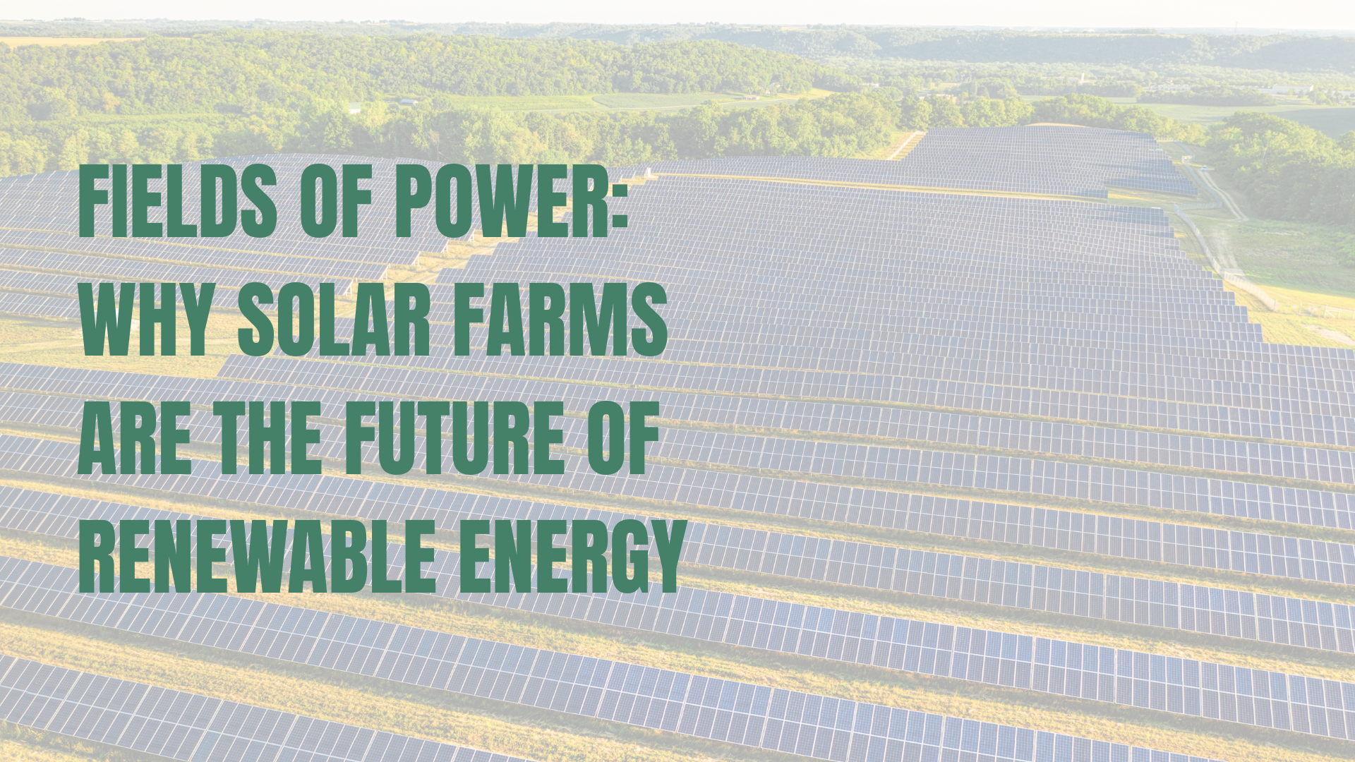 Solar farm