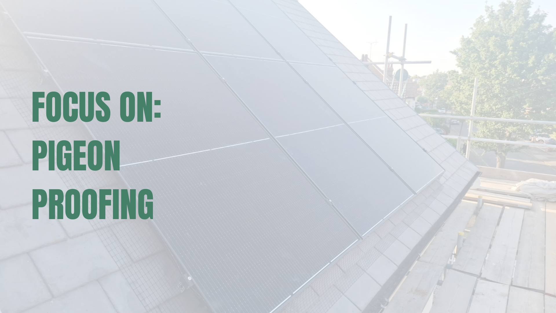 Solar PV installation with pigeon proofing