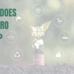 Net Zero infogram