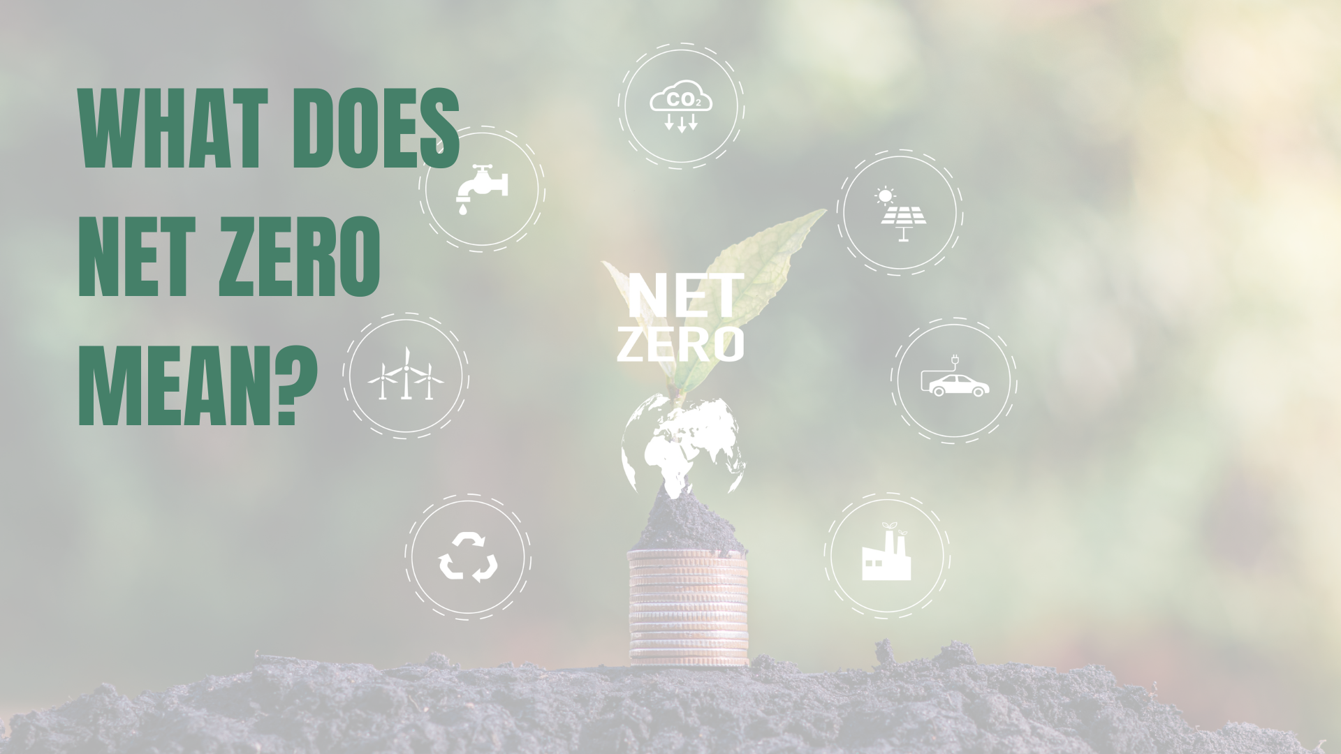 Net Zero infogram