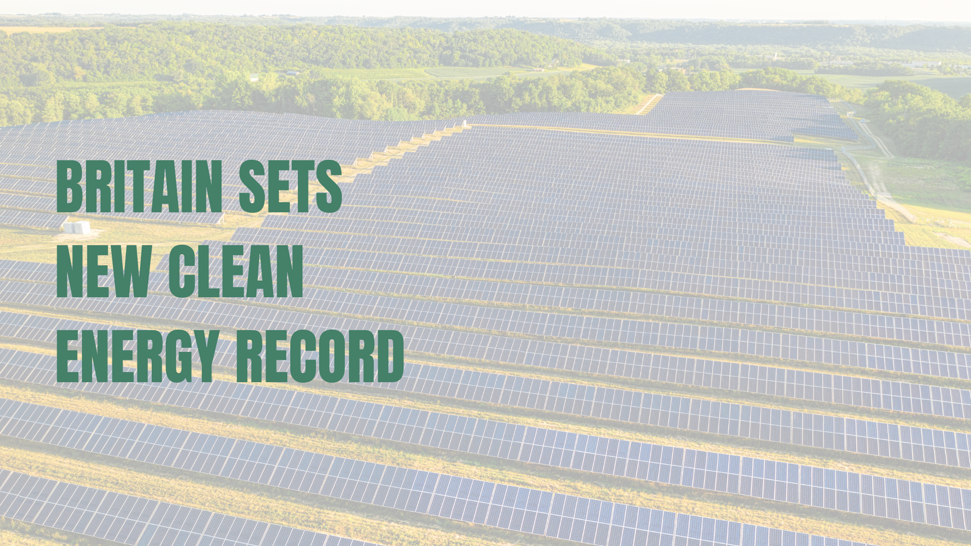 Solar farm
