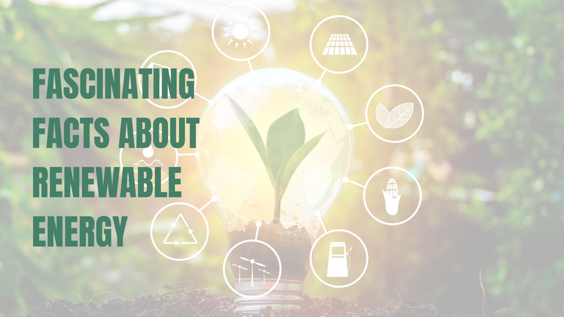 Renewable energy sources diagram