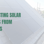 Solar panels installed with pigeon mesh