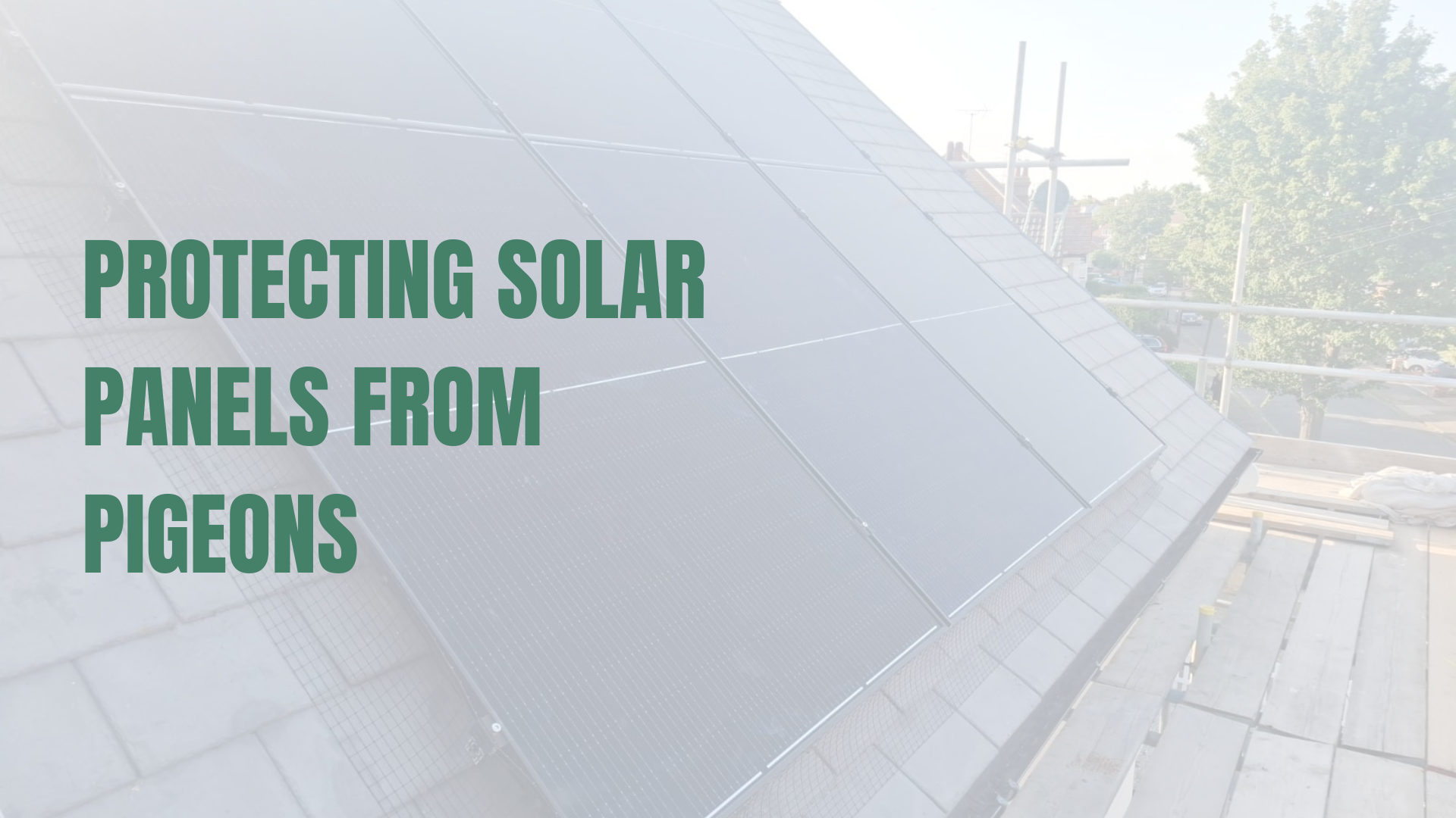 Solar panels installed with pigeon mesh