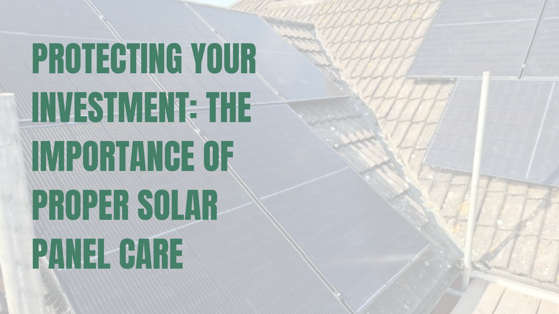 Protecting Your Investment: The Importance of Proper Solar Panel Care
