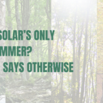 Stock image showing the different seasons