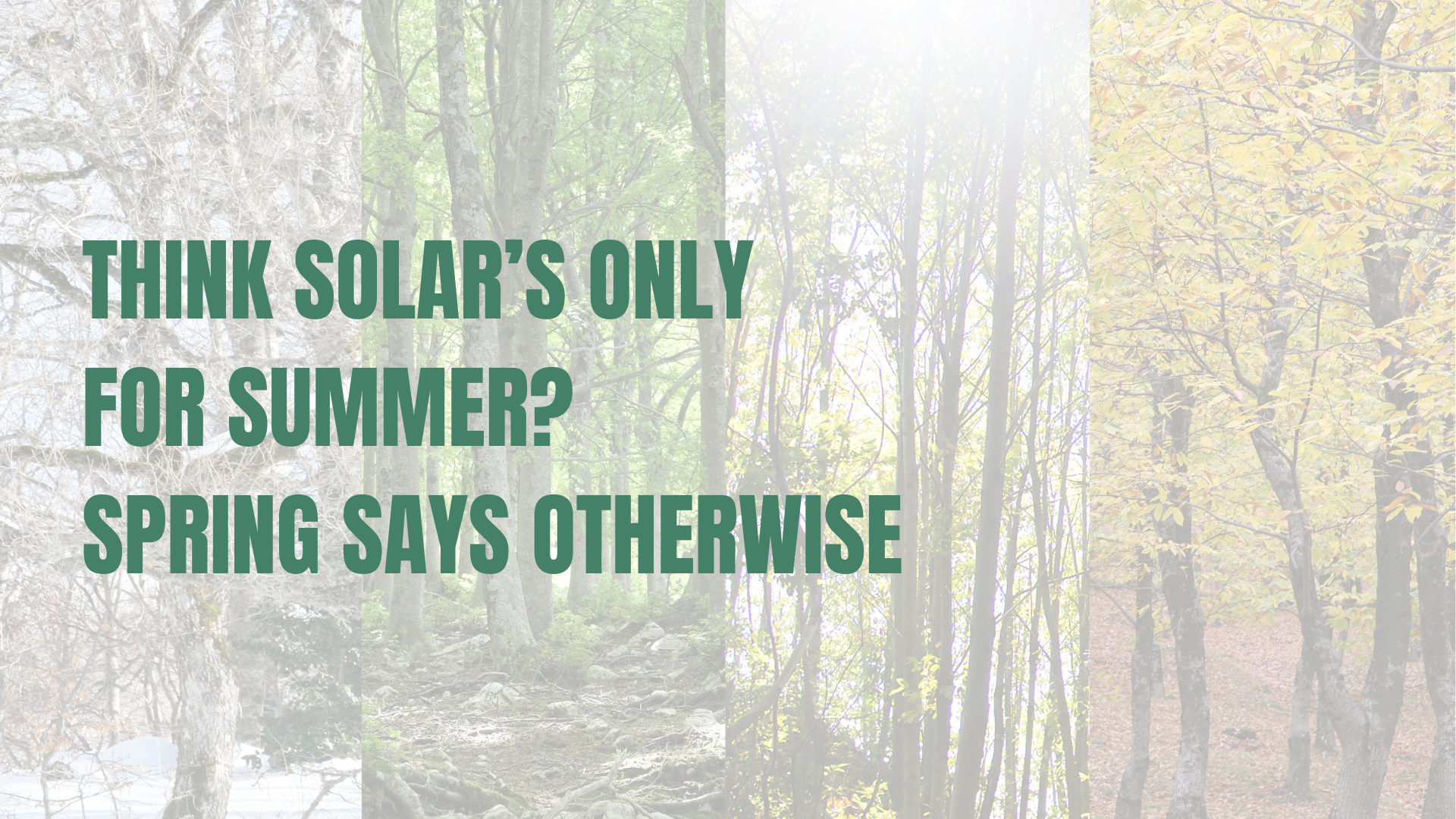 Stock image showing the different seasons