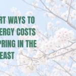 Stock image of a blossom tree