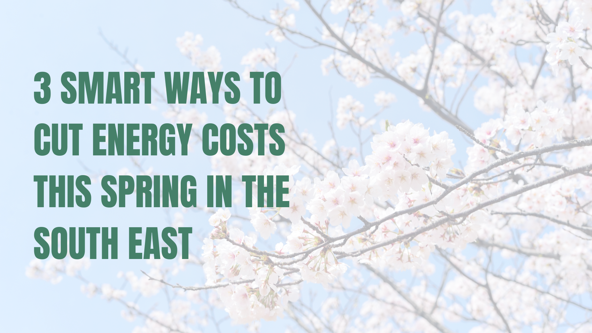 3 Smart Ways to Cut Energy Costs This Spring in the South East