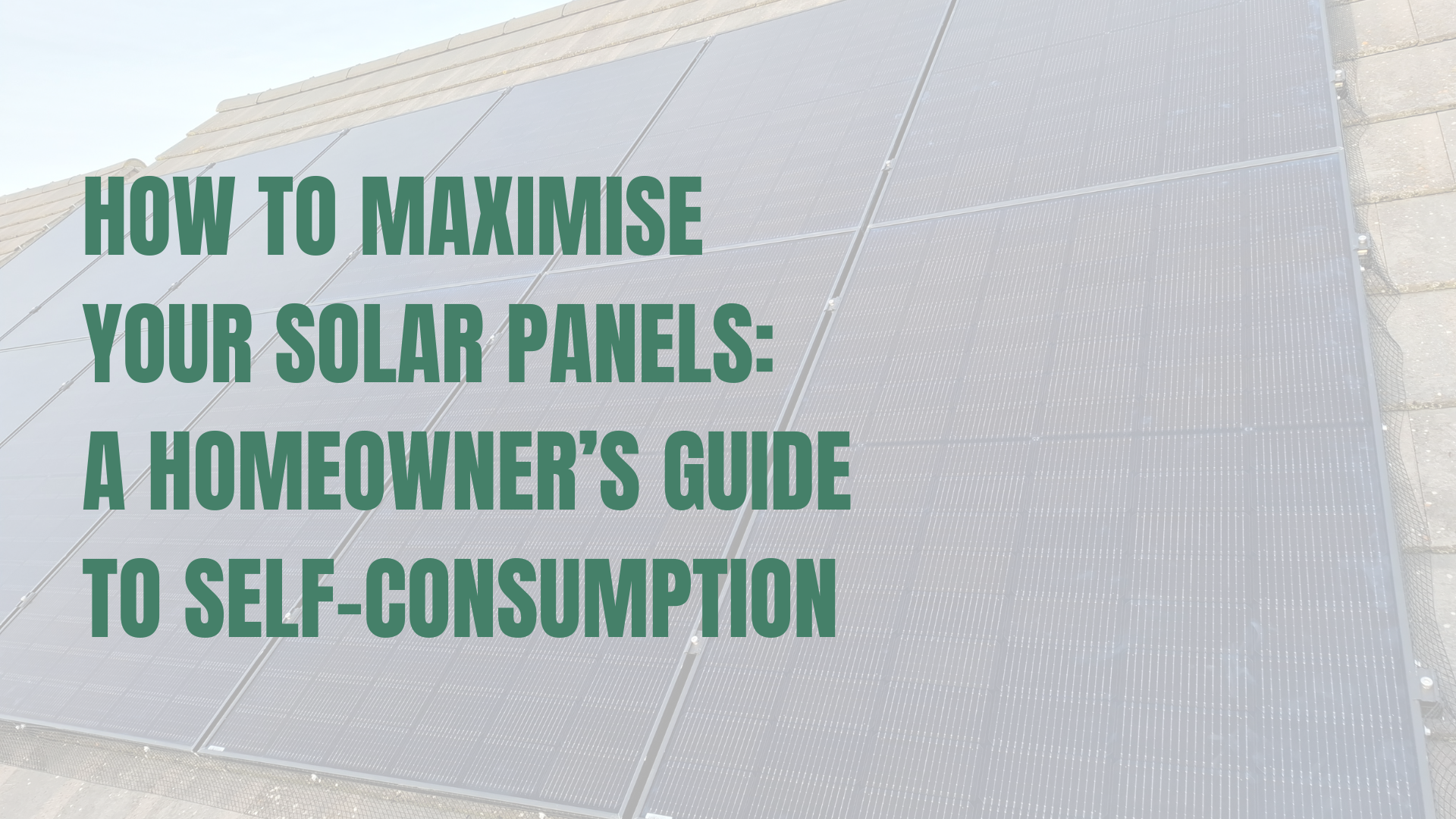 How to Maximise Your Solar Panels: A Homeowner’s Guide to Self-Consumption