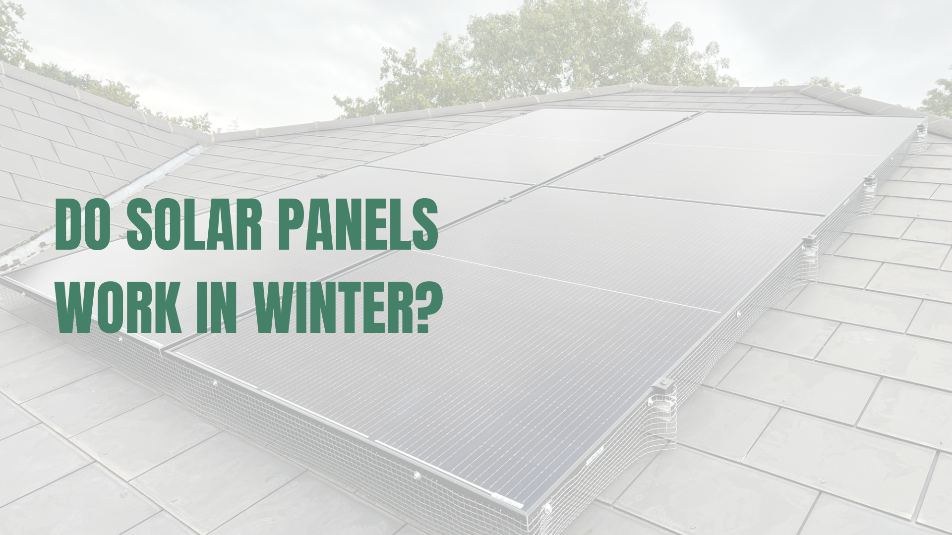 Solar panels installed on a slate roof