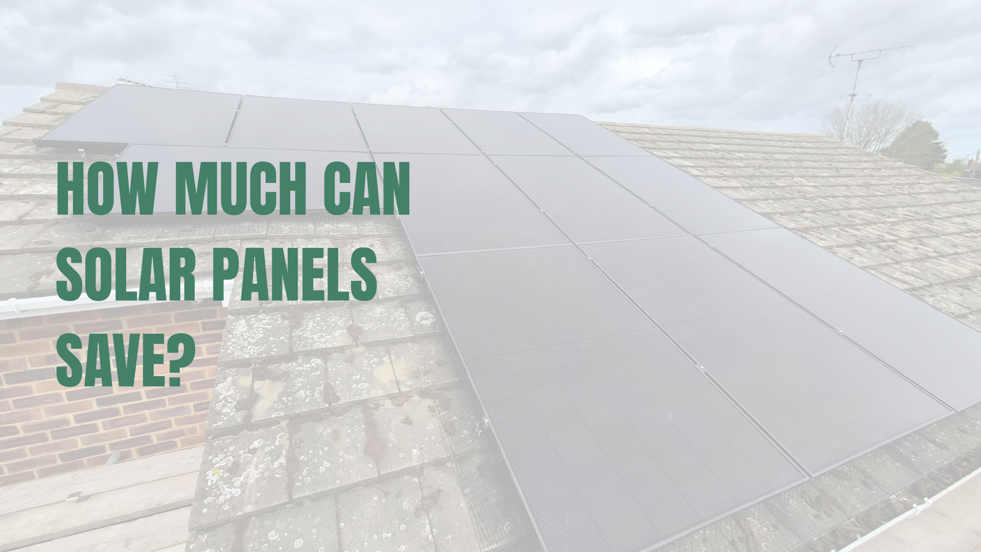 How Much Can Solar Panels Save?