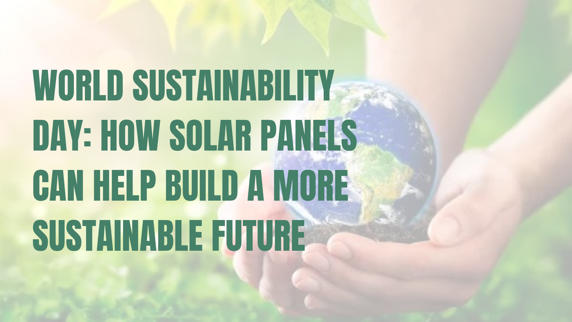 World Sustainability Day: How Solar Panels Can Help Build a More Sustainable Future